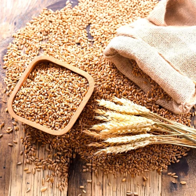 Durum Wheat Flour / Semolina
