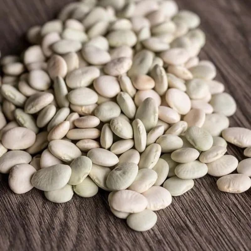 Lima Beans /  Butter Bean / Sieva Bean,