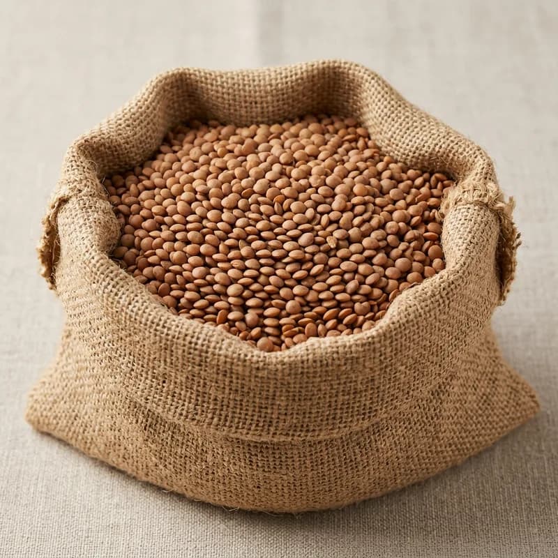 Masoor / Red Lentils / Whole Masoor Dal (illustrative image)