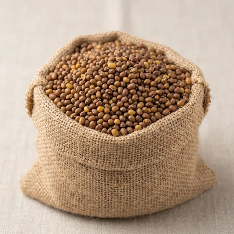 Moth Dal / Turkish Gram / Dew Bean (illustrative image)