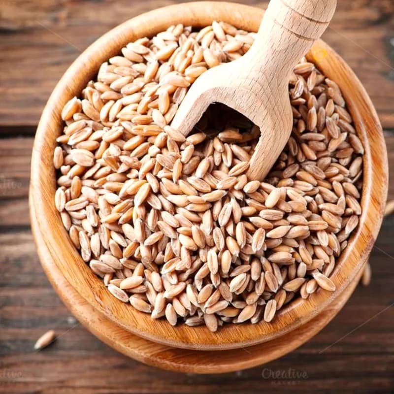 Pearl Barley / Pearled Barley