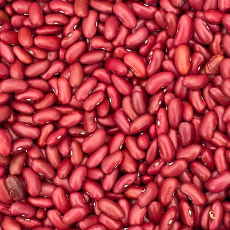 Rajma / Kidney Bean