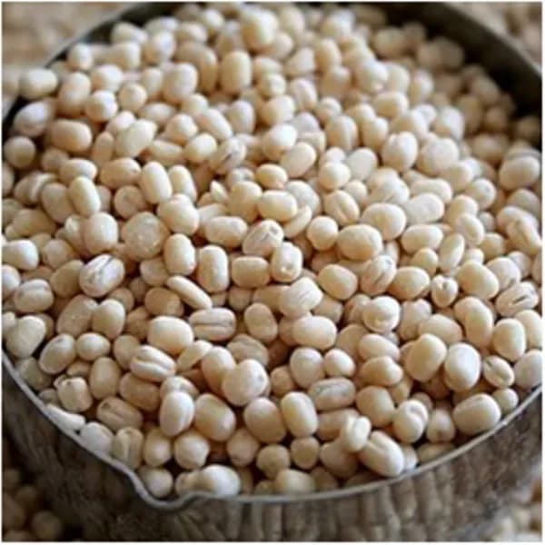 Urad Gota