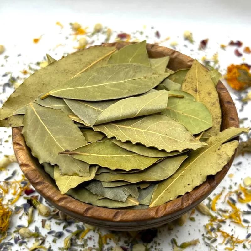 Bay Leaves / Tej Patta, Indian Bay Leaf