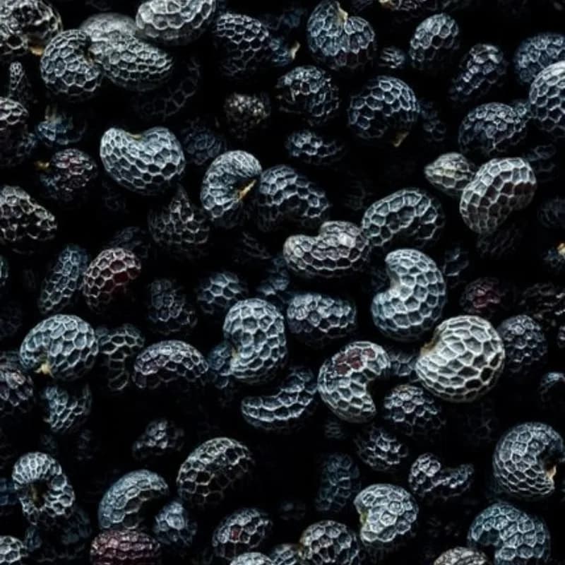 Poppy Seeds / Khaskhas