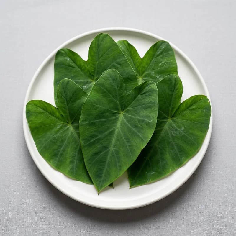 Taro Root Leaves (illustrative image)